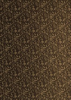 Image of the Page - Vorsatzblatt hinten - in Die österreichisch-ungarische Monarchie in Wort und Bild - Kärnten und Krain, Volume 8