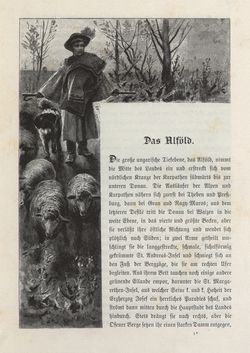 Bild der Seite - 3 - in Die österreichisch-ungarische Monarchie in Wort und Bild - Ungarn (2), Band 9