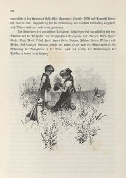 Image of the Page - 20 - in Die österreichisch-ungarische Monarchie in Wort und Bild - Ungarn (2), Volume 9