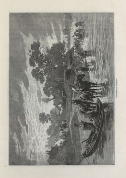 Bild der Seite - 45 - in Die österreichisch-ungarische Monarchie in Wort und Bild - Ungarn (2), Band 9