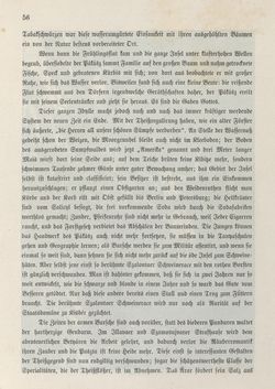 Bild der Seite - 56 - in Die österreichisch-ungarische Monarchie in Wort und Bild - Ungarn (2), Band 9