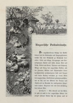 Bild der Seite - 69 - in Die österreichisch-ungarische Monarchie in Wort und Bild - Ungarn (2), Band 9