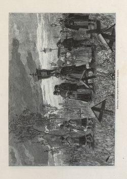 Bild der Seite - 99 - in Die österreichisch-ungarische Monarchie in Wort und Bild - Ungarn (2), Band 9