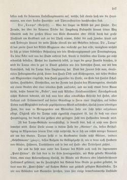 Bild der Seite - 107 - in Die österreichisch-ungarische Monarchie in Wort und Bild - Ungarn (2), Band 9