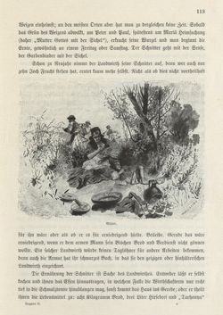 Bild der Seite - 113 - in Die österreichisch-ungarische Monarchie in Wort und Bild - Ungarn (2), Band 9