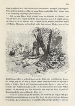 Image of the Page - 115 - in Die österreichisch-ungarische Monarchie in Wort und Bild - Ungarn (2), Volume 9