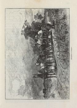 Bild der Seite - 137 - in Die österreichisch-ungarische Monarchie in Wort und Bild - Ungarn (2), Band 9