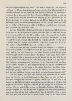 Bild der Seite - 175 - in Die österreichisch-ungarische Monarchie in Wort und Bild - Ungarn (2), Band 9