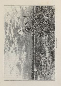 Image of the Page - 181 - in Die österreichisch-ungarische Monarchie in Wort und Bild - Ungarn (2), Volume 9