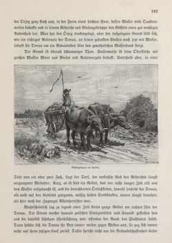 Bild der Seite - 183 - in Die österreichisch-ungarische Monarchie in Wort und Bild - Ungarn (2), Band 9