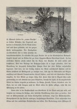 Image of the Page - 189 - in Die österreichisch-ungarische Monarchie in Wort und Bild - Ungarn (2), Volume 9