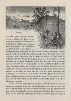 Bild der Seite - 189 - in Die österreichisch-ungarische Monarchie in Wort und Bild - Ungarn (2), Band 9