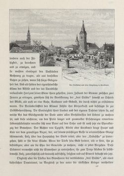 Bild der Seite - 195 - in Die österreichisch-ungarische Monarchie in Wort und Bild - Ungarn (2), Band 9