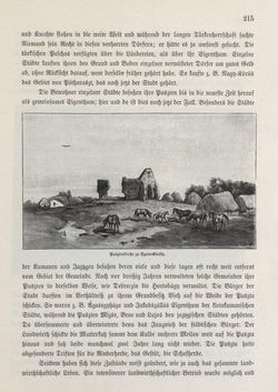 Bild der Seite - 215 - in Die österreichisch-ungarische Monarchie in Wort und Bild - Ungarn (2), Band 9