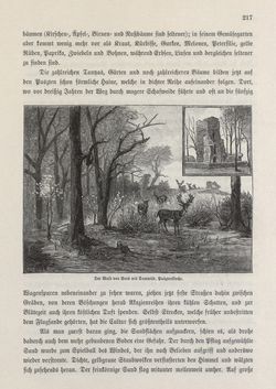 Bild der Seite - 217 - in Die österreichisch-ungarische Monarchie in Wort und Bild - Ungarn (2), Band 9