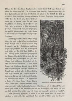 Bild der Seite - 229 - in Die österreichisch-ungarische Monarchie in Wort und Bild - Ungarn (2), Band 9