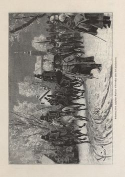 Image of the Page - 239 - in Die österreichisch-ungarische Monarchie in Wort und Bild - Ungarn (2), Volume 9