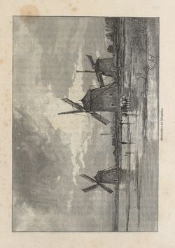 Image of the Page - 249 - in Die österreichisch-ungarische Monarchie in Wort und Bild - Ungarn (2), Volume 9