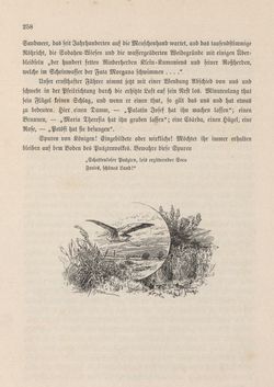 Image of the Page - 258 - in Die österreichisch-ungarische Monarchie in Wort und Bild - Ungarn (2), Volume 9