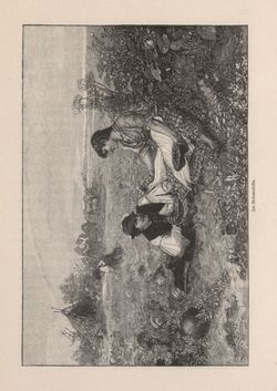 Image of the Page - 271 - in Die österreichisch-ungarische Monarchie in Wort und Bild - Ungarn (2), Volume 9