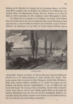 Bild der Seite - 275 - in Die österreichisch-ungarische Monarchie in Wort und Bild - Ungarn (2), Band 9