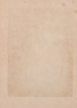 Image of the Page - (00000301) - in Die österreichisch-ungarische Monarchie in Wort und Bild - Ungarn (2), Volume 9