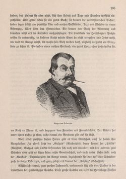 Bild der Seite - 295 - in Die österreichisch-ungarische Monarchie in Wort und Bild - Ungarn (2), Band 9