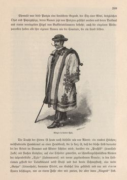 Bild der Seite - 299 - in Die österreichisch-ungarische Monarchie in Wort und Bild - Ungarn (2), Band 9