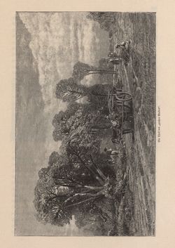 Bild der Seite - 301 - in Die österreichisch-ungarische Monarchie in Wort und Bild - Ungarn (2), Band 9