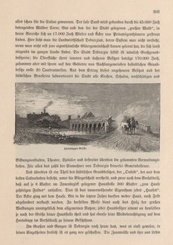 Bild der Seite - 303 - in Die österreichisch-ungarische Monarchie in Wort und Bild - Ungarn (2), Band 9