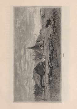 Bild der Seite - 307 - in Die österreichisch-ungarische Monarchie in Wort und Bild - Ungarn (2), Band 9