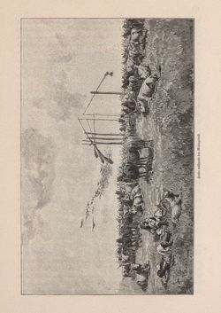 Image of the Page - 311 - in Die österreichisch-ungarische Monarchie in Wort und Bild - Ungarn (2), Volume 9