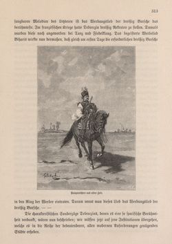 Bild der Seite - 313 - in Die österreichisch-ungarische Monarchie in Wort und Bild - Ungarn (2), Band 9