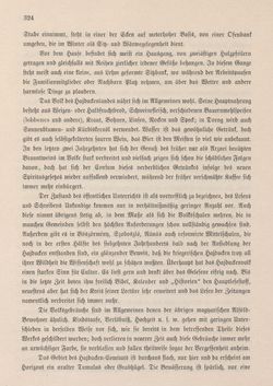 Bild der Seite - 324 - in Die österreichisch-ungarische Monarchie in Wort und Bild - Ungarn (2), Band 9