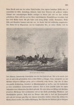 Bild der Seite - 325 - in Die österreichisch-ungarische Monarchie in Wort und Bild - Ungarn (2), Band 9