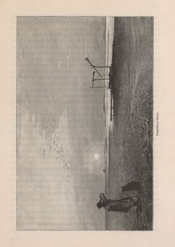 Image of the Page - 333 - in Die österreichisch-ungarische Monarchie in Wort und Bild - Ungarn (2), Volume 9