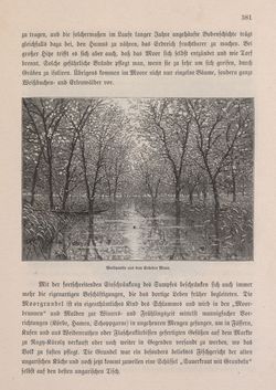 Bild der Seite - 381 - in Die österreichisch-ungarische Monarchie in Wort und Bild - Ungarn (2), Band 9