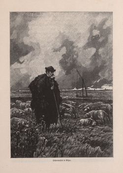 Bild der Seite - 407 - in Die österreichisch-ungarische Monarchie in Wort und Bild - Ungarn (2), Band 9