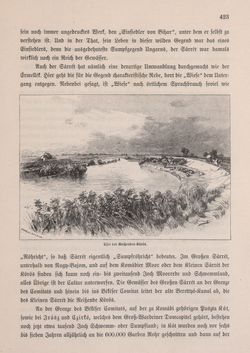 Bild der Seite - 423 - in Die österreichisch-ungarische Monarchie in Wort und Bild - Ungarn (2), Band 9