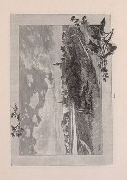 Bild der Seite - 461 - in Die österreichisch-ungarische Monarchie in Wort und Bild - Ungarn (2), Band 9