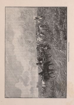 Image of the Page - 469 - in Die österreichisch-ungarische Monarchie in Wort und Bild - Ungarn (2), Volume 9