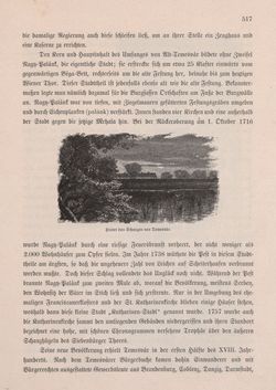 Image of the Page - 517 - in Die österreichisch-ungarische Monarchie in Wort und Bild - Ungarn (2), Volume 9