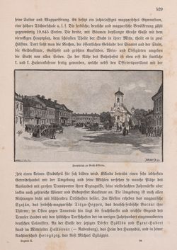 Bild der Seite - 529 - in Die österreichisch-ungarische Monarchie in Wort und Bild - Ungarn (2), Band 9