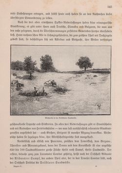 Bild der Seite - 545 - in Die österreichisch-ungarische Monarchie in Wort und Bild - Ungarn (2), Band 9