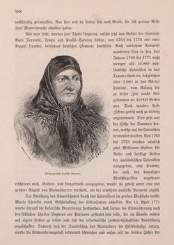 Bild der Seite - 558 - in Die österreichisch-ungarische Monarchie in Wort und Bild - Ungarn (2), Band 9