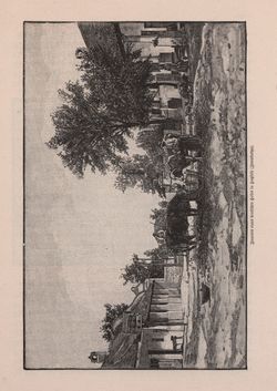 Bild der Seite - 569 - in Die österreichisch-ungarische Monarchie in Wort und Bild - Ungarn (2), Band 9