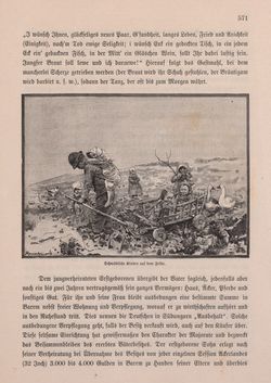 Bild der Seite - 571 - in Die österreichisch-ungarische Monarchie in Wort und Bild - Ungarn (2), Band 9