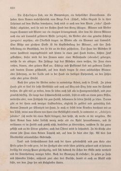 Image of the Page - 610 - in Die österreichisch-ungarische Monarchie in Wort und Bild - Ungarn (2), Volume 9