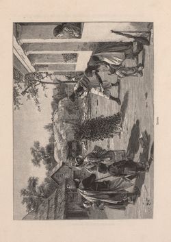 Image of the Page - 649 - in Die österreichisch-ungarische Monarchie in Wort und Bild - Ungarn (2), Volume 9