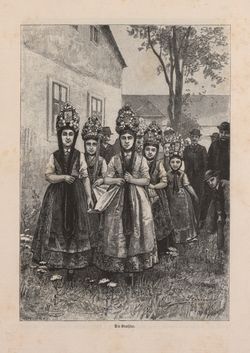 Image of the Page - 655 - in Die österreichisch-ungarische Monarchie in Wort und Bild - Ungarn (2), Volume 9